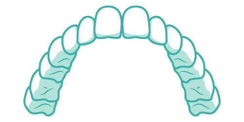 upper teeth
